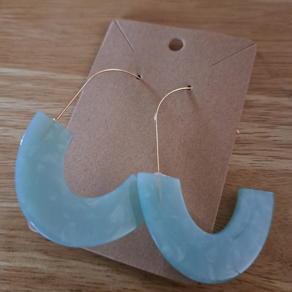 Handcrafted Acrylic Long Fish   Hook Earrings